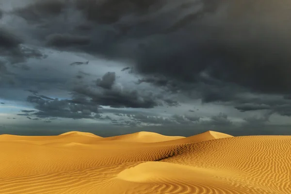 撒哈拉沙漠沙丘，黑暗、 多云、 多雨的天空. — 图库照片