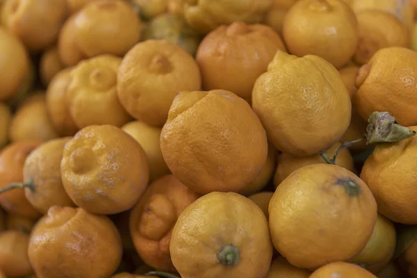 Frisk Økologisk Marokkansk Citron Marked Landmænd Gastronomisk Specialitet - Stock-foto