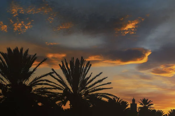 夕阳西下 一座尖塔 清真寺 的轮廓 与美丽多彩的天空相映成趣 相映成趣 在摩洛哥瓦尔扎扎特 — 图库照片
