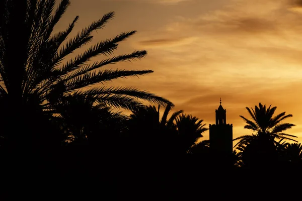夕阳西下 一座尖塔 清真寺 的轮廓 与美丽多彩的天空相映成趣 相映成趣 在摩洛哥瓦尔扎扎特 图库照片