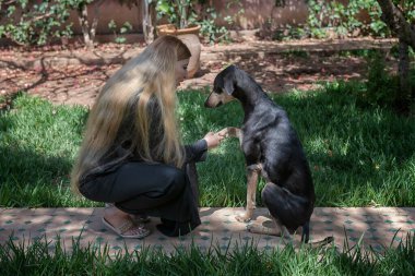 Uzun sarı saçlı güzel Faslı Müslüman kadın arka bahçesinde genç bir siyah Sloughi köpeği (Arap tazısı) ile itaat eğitimi alıyor. Otantik, gerçek hayat, samimi, etnik çeşitlilik.