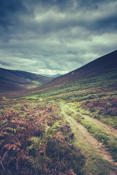 Hillside Trail In Scotland — Stock Photo, Image