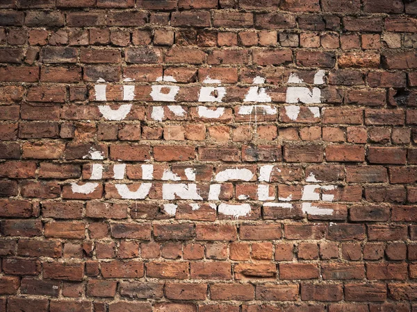 Stedelijke Jungle Graffiti — Stockfoto