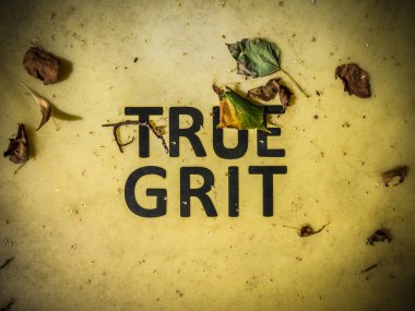 True Grit Sign clipart