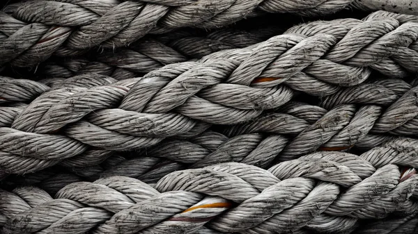 Thick Harbor Rope Texture — Stock Photo, Image