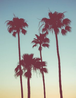 Retro Sunset Palms clipart