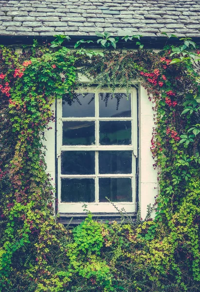 Ventana de casa de campo floral — Foto de Stock