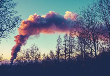 Yangın duman Yükseliyor