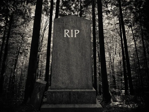 Spooky Forest Gravestone — Stock Photo, Image