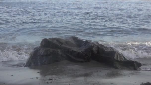 Bir Plajda Bir Kaya Üzerine Çökmesini Dalga Yavaş Hareket — Stok video