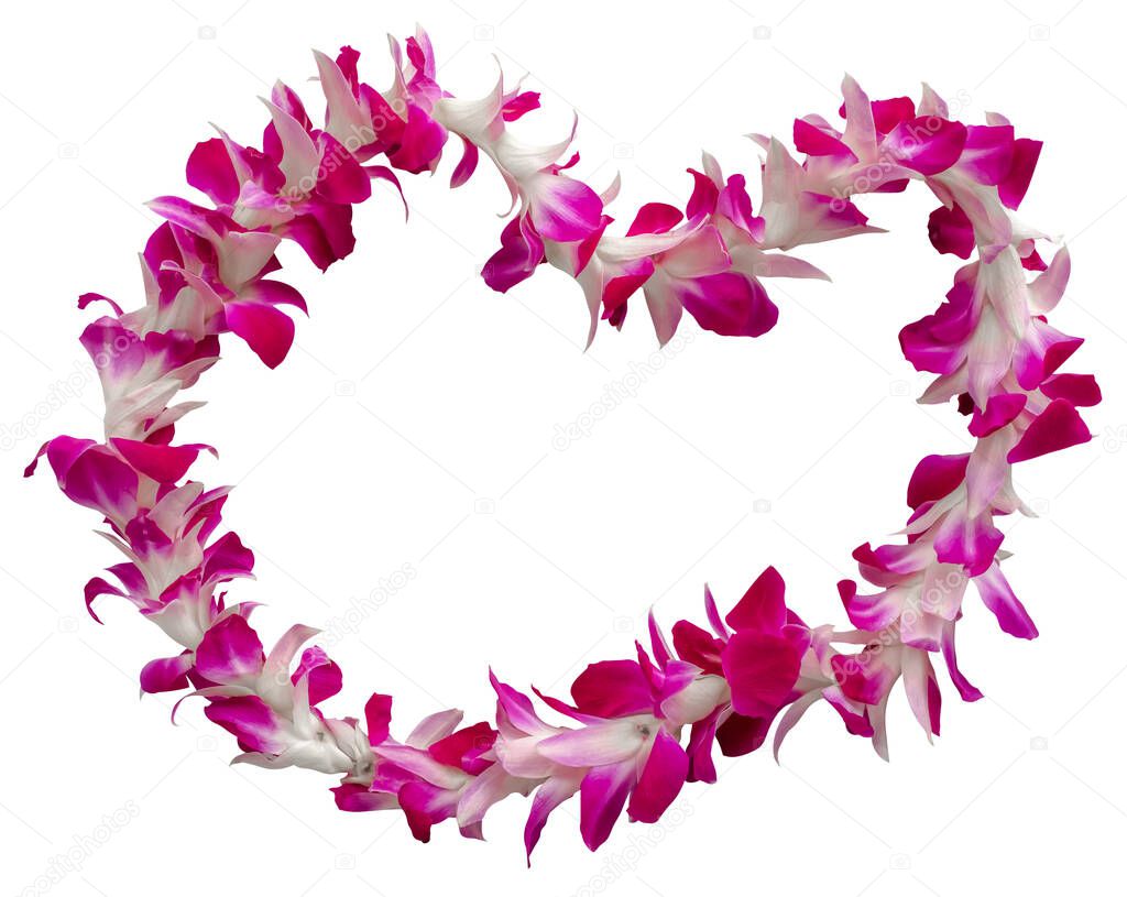 Hawaii Lei On A White Background