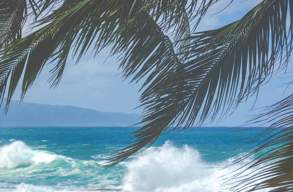 Hawaii North Shore Waves — Stockfoto