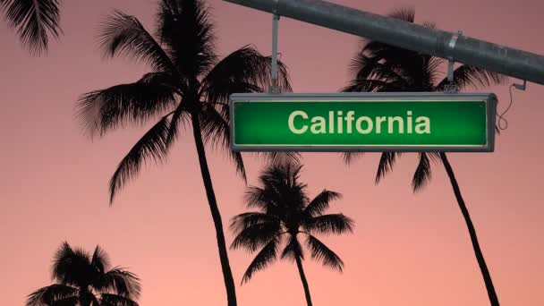 California Streetsign Sunset Palm Trees Background — Stock Video