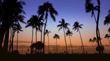 Waikiki, Hawaii 'de insanlar koşuyor, yürüyor ve eğleniyorlar.