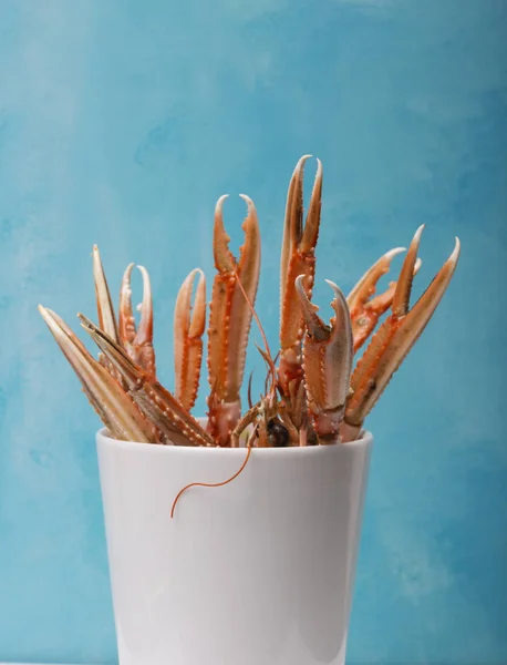 Cozido Garras Langoustine Fundo Azul — Fotografia de Stock