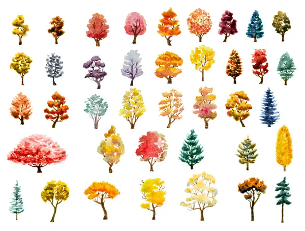 Aquarell Herbstbäume gesetzt — Stockfoto