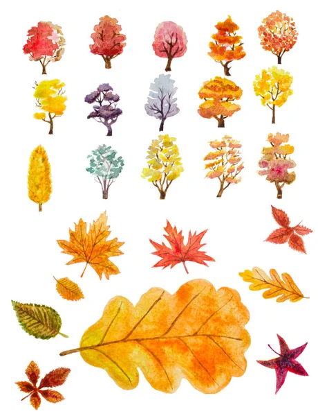 秋天的树木和叶子的水彩画集。手绘怡乐思 — 图库照片