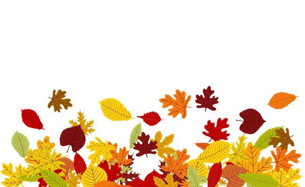Vektor Hintergrund mit bunten Herbstblättern Rand auf weiß — Stockvektor