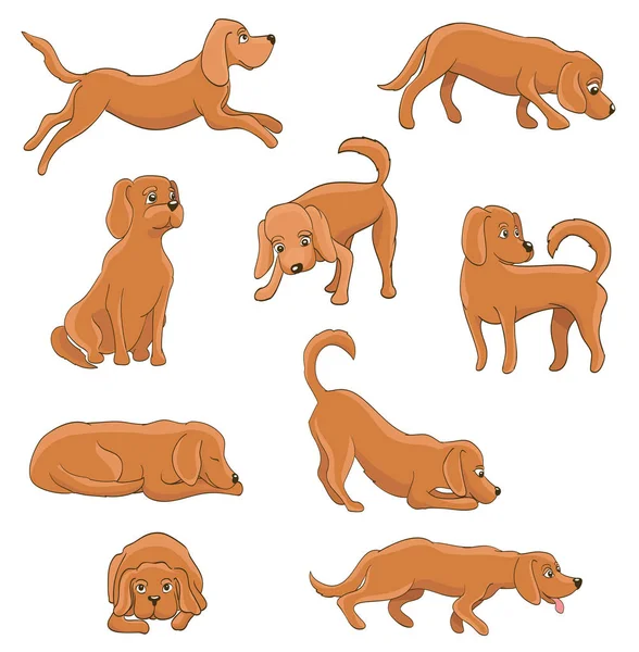 Lindo perro de dibujos animados en varias poses — Vector de stock