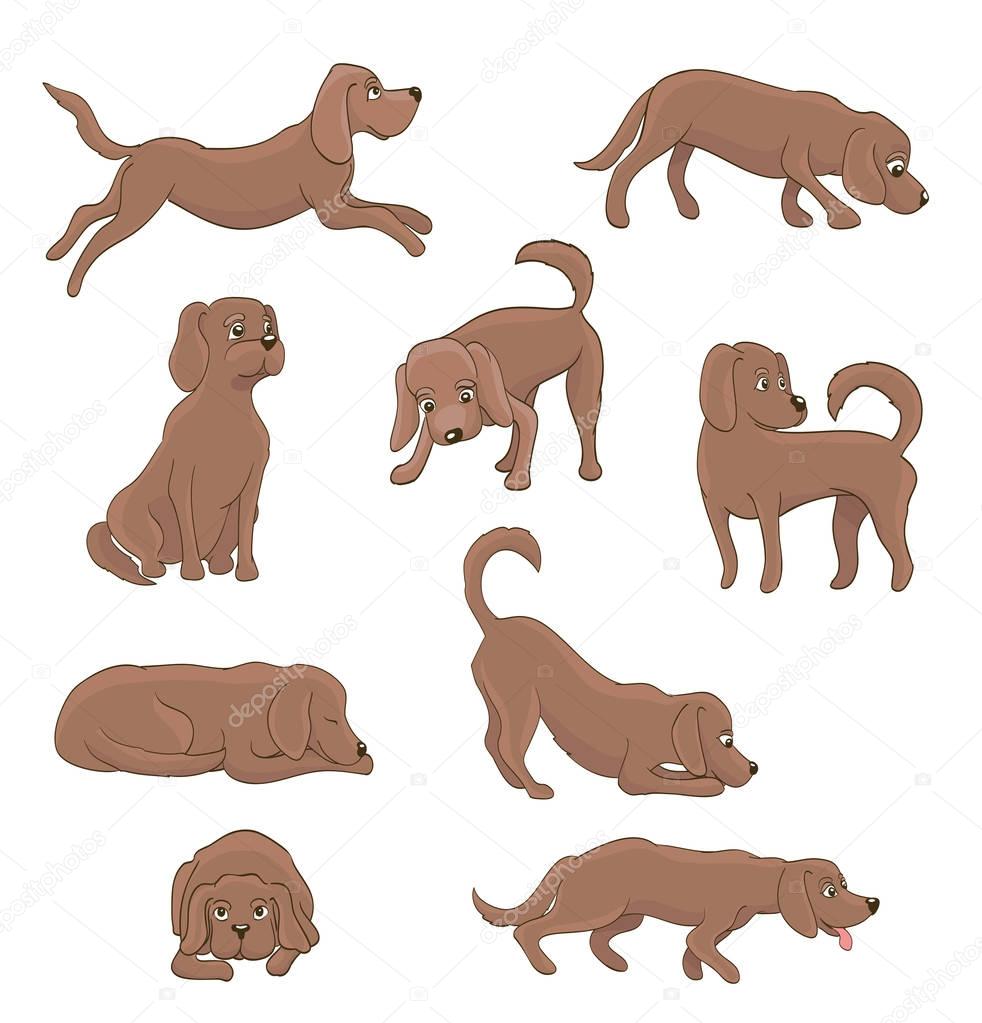 cartoon dog in different poses on white