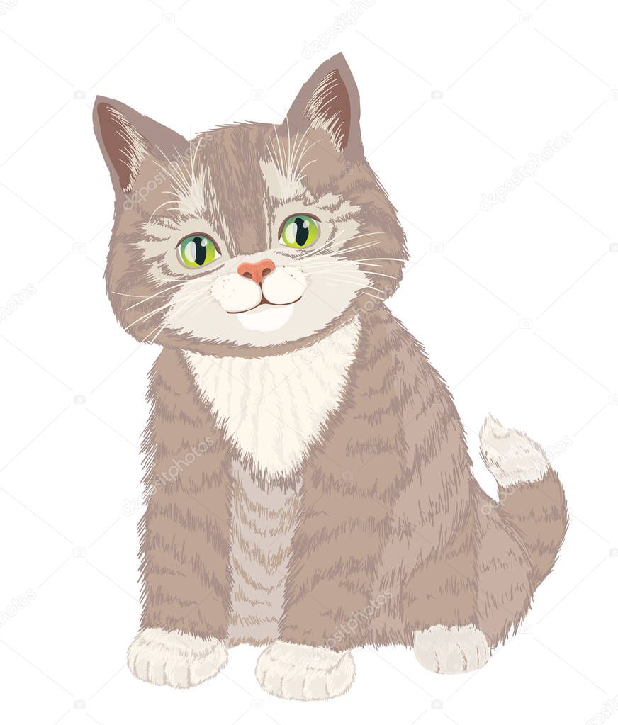 Cute little fluffy cat on white. vector