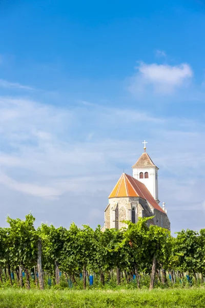 Church with vineyard, Kirchenberg, Lower Austria — Stock Photo, Image