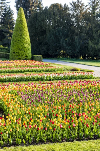 チェコ共和国レドニツェ宮殿の庭園 — ストック写真