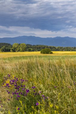 Nizke Tatry (Low Tatras), Slovakya