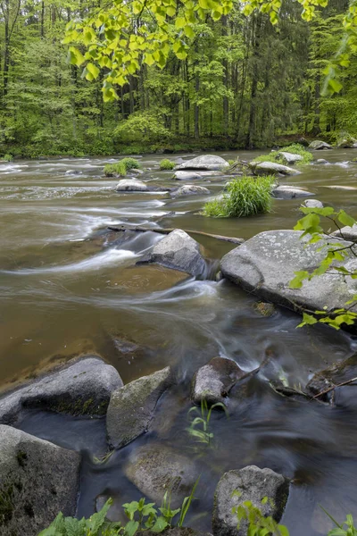 Río Sazava cerca de Smrcna, República Checa — Foto de Stock