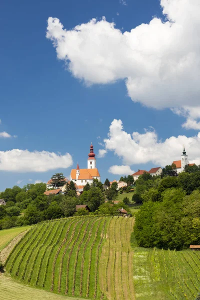 Stadt Straden und Weinberge in der Steiermark, Österreich — Stockfoto