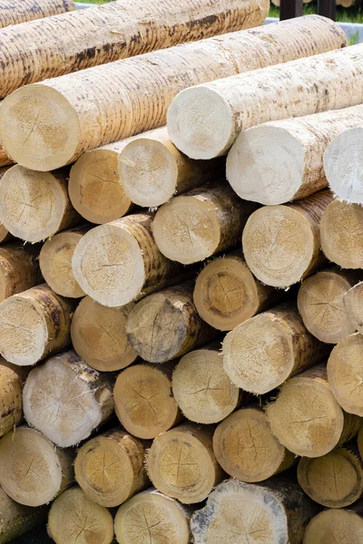 Деревообрабатывающая промышленность в Альпах, Италия — стоковое фото