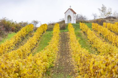 Sonbahar bağı ile Hnanice yakınlarındaki Tanrı'nın işkence, Güney Mora