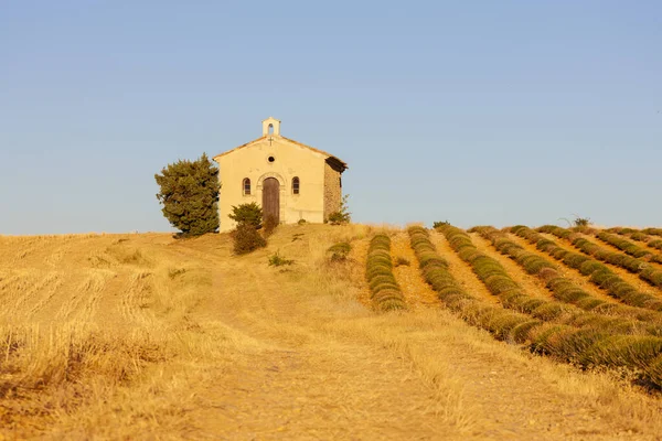 Chapel with lavender field, Plateau de Valensole, Provence, Fran — Stock Photo, Image