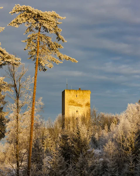 Frosty morning in Landstejn castle, Czech Republic — стоковое фото