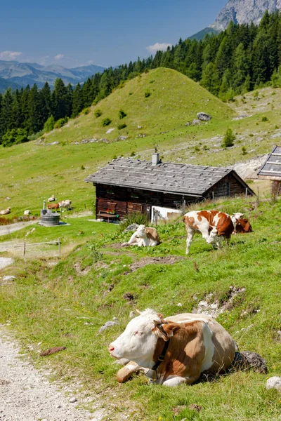 Österrikiska Alperna i närheten Arturhaus och Bischofshofen — Stockfoto