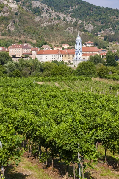 Wieś Durnstein z winnicami, Wachau Valley, Austria — Zdjęcie stockowe
