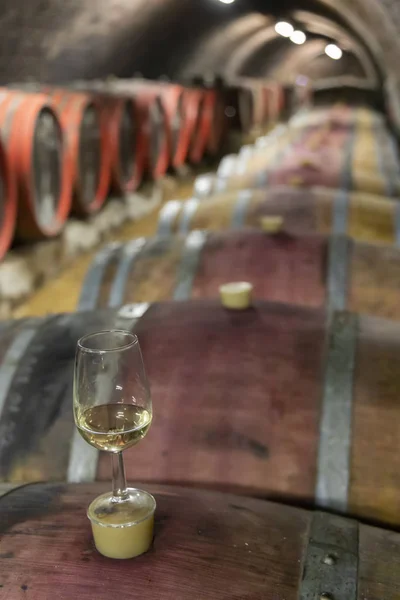 Antigua bodega en Pecs, Hungría — Foto de Stock