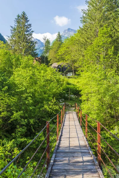 Repbro på floden Soca, Triglavski nationalpark, Sloveni — Stockfoto