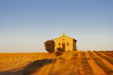Şapel ile lavanta alan, plato de valensole, provence, fran