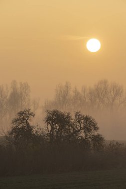 Güney Moravya, Çek Cumhuriyeti, Znojmo yakınlarında gün doğumu