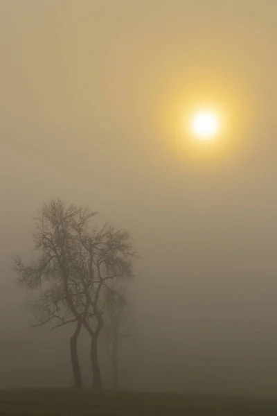Туманный рассвет на севере Венгрии — стоковое фото