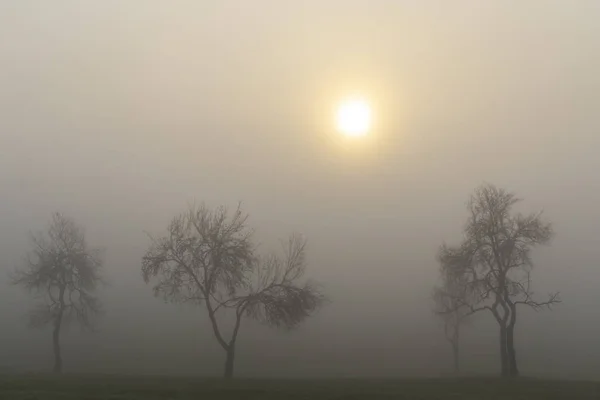 Foggy sunrise in northern Hungary — Stock Photo, Image