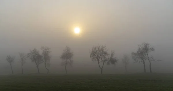 Nebliger Sonnenaufgang im Norden Ungarns — Stockfoto