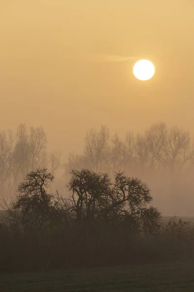 Amanecer cerca de Znojmo, Moravia del Sur, República Checa — Foto de Stock