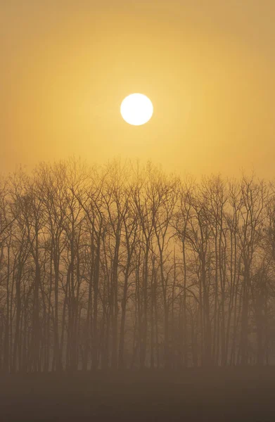 Amanecer cerca de Znojmo, Moravia del Sur, República Checa — Foto de Stock