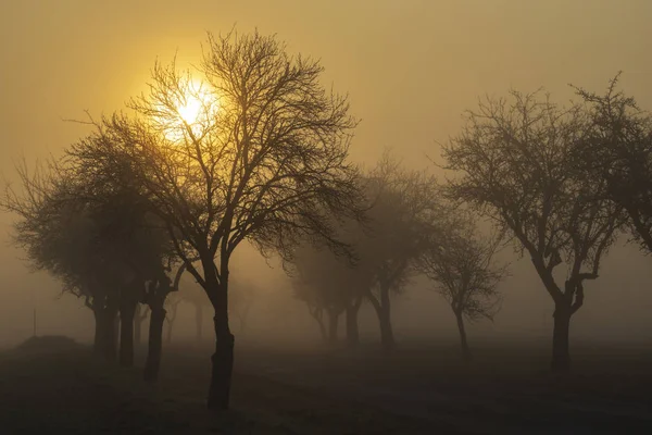 Amanecer cerca de Znojmo, Moravia del Sur, República Checa — Foto de Stock