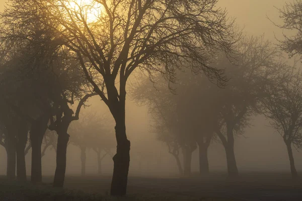 Amanecer cerca de Znojmo, Moravia del Sur, República Checa — Foto de Stock