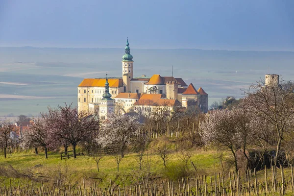 Mikulov slott med blommande träd, Sydmähren, Tjeckien Republi — Stockfoto
