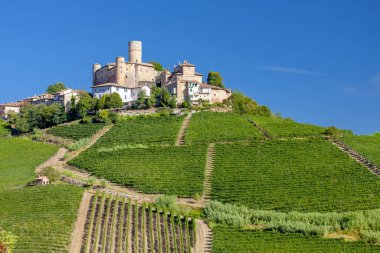 Şato ve köy Castiglione Falletto, Piemonte, İtalya