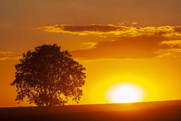 Sunset of Palava hill, South Moravia, Czech republic — Stock Photo, Image